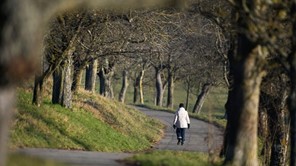 Eρευνα ΤΕΦΑΑ: Η σωματική άσκηση μέτριας έντασης συνδέεται με βελτίωση της κατάθλιψης