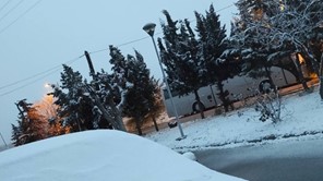 Με χιόνι έχει σκεπαστεί ο νομός Τρικάλων - Ανοιχτοί οι δρόμοι 