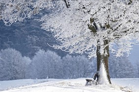 Χειμερινό ηλιοστάσιο 2022: Ξεκινάει και επίσημα σήμερα Τετάρτη ο χειμώνας