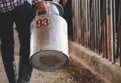 Μειώθηκε κατά 12% η παραγωγή πρόβειου γάλακτος στον νομό Λάρισας Μειώθηκε κατά 12% η παραγωγή πρόβειου γάλακτος στον νομό Λάρισας