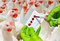 Συνεργασία της Innovad με την θεσσαλική Olea Fortius Συνεργασία της Innovad με την θεσσαλική Olea Fortius