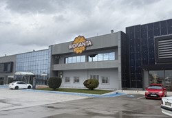 Βιολάντα: Καταβολή μόνιμου μηνιαίου μισθού στις οικογένειες των θυμάτων – στήριξη και των παιδιών Βιολάντα: Καταβολή μόνιμου μηνιαίου μισθού στις οικογένειες των θυμάτων – στήριξη και των παιδιών