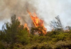 Αποζημιώσεις για τις πυρκαγιές στη Μαγνησία