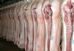 Εκσυγχρονισμός της "Δημοτικά Σφαγεία Τρικάλων Α.Ε." με επένδυση 600.000 ευρώ