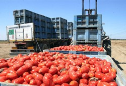 Αναβαθμίζεται η Καρδιτσιώτικη Damavand Αναβαθμίζεται η Καρδιτσιώτικη Damavand