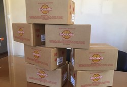 Τα μπισκότα Βιολάντα ταξιδεύουν σε όλο τον κόσμο