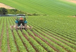 Οι τιμές των λιπασμάτων θα συμπαρασύρουν και τα τρόφιμα Οι τιμές των λιπασμάτων θα συμπαρασύρουν και τα τρόφιμα