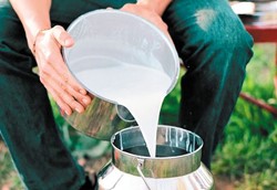 Μειώθηκε το αιγοπρόβειο γάλα στη Θεσσαλία Μειώθηκε το αιγοπρόβειο γάλα στη Θεσσαλία