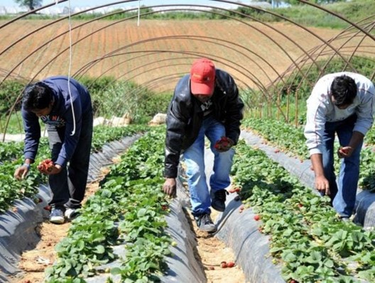 Μετ’ εμποδίων η «εισαγωγή» εργατών από τρίτες χώρες