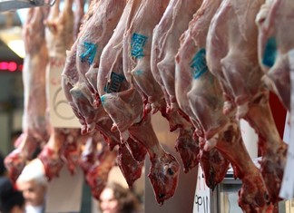 Η χαμένη τιμή του αρνιού  Η χαμένη τιμή του αρνιού