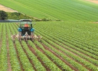 Θεσσαλία: 1.968 νέοι αγρότες διεκδικούν 44,5 εκ. ευρώ Θεσσαλία: 1.968 νέοι αγρότες διεκδικούν 44,5 εκ. ευρώ