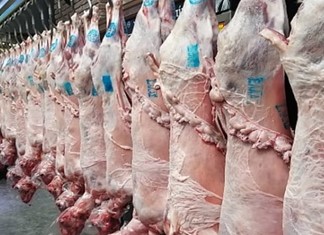 Κλειστά μέχρι την Παρασκευή τα σφαγεία στη Θεσσαλία Κλειστά μέχρι την Παρασκευή τα σφαγεία στη Θεσσαλία