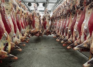 Μείωση του βόειου κρέατος στην Ευρώπη - Σταθερή η Ελλάδα