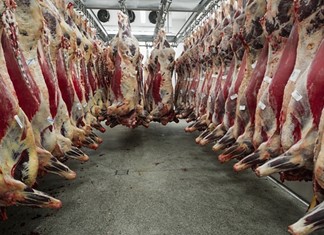 Μείωση του βόειου κρέατος στην Ευρώπη - Σταθερή η Ελλάδα Μείωση του βόειου κρέατος στην Ευρώπη - Σταθερή η Ελλάδα
