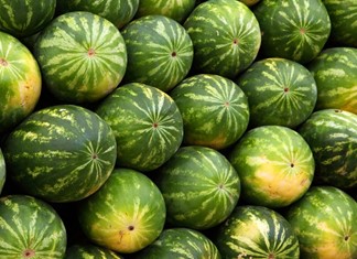Αυξημένες 3% οι εξαγωγές θερινών φρούτων Αυξημένες 3% οι εξαγωγές θερινών φρούτων