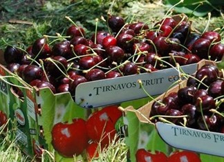 Εξαγωγές: Ρεκόρ + 47% στα κεράσια, +16% τα καρπούζια Εξαγωγές: Ρεκόρ + 47% στα κεράσια, +16% τα καρπούζια