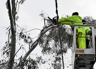 Τα κλαδιά της "Μήδειας" καύσιμη ύλη για την ΑΓΕΤ Τα κλαδιά της "Μήδειας" καύσιμη ύλη για την ΑΓΕΤ