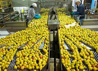 «Πράσινη μετάβαση»: Ενισχύονται Ρούσσας και ΕΛΒΑΚ «Πράσινη μετάβαση»: Ενισχύονται Ρούσσας και ΕΛΒΑΚ