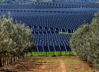 Άφαντο το φωτοβολταϊκό πάρκο της πλουσιότερης Ρωσίδας στα Φάρσαλα Άφαντο το φωτοβολταϊκό πάρκο της πλουσιότερης Ρωσίδας στα Φάρσαλα