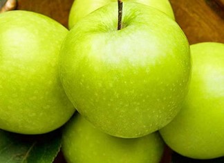 Χειροπέδες για τα μήλα στον Συνεταιρισμό Αγιάς Χειροπέδες για τα μήλα στον Συνεταιρισμό Αγιάς