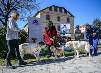 Χορηγική μέριμνα της ΟΛΥΜΠΟΣ στα αδέσποτα των Τρικάλων