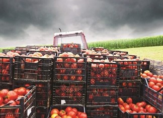 Ο πόλεμος πιέζει τα Ελληνικά οπωροκηπευτικά Ο πόλεμος πιέζει τα Ελληνικά οπωροκηπευτικά