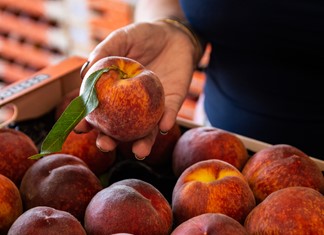 Οι εξαγωγές των προϊόντων μας στη Γερμανία