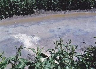 Πρόστιμο 30.000 σε γαλακτοβιομηχανία του Δήμου Κιλελέρ Πρόστιμο 30.000 σε γαλακτοβιομηχανία του Δήμου Κιλελέρ