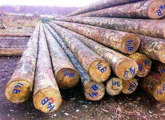 Έστηναν διαγωνισμούς του ΔΕΔΔΗΕ για στύλους Έστηναν διαγωνισμούς του ΔΕΔΔΗΕ για στύλους