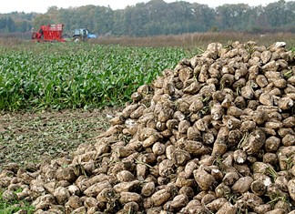 H ΔΕΗ έκοψε το ρεύμα στην ΕΒΖ για χρέος 600.000 H ΔΕΗ έκοψε το ρεύμα στην ΕΒΖ για χρέος 600.000