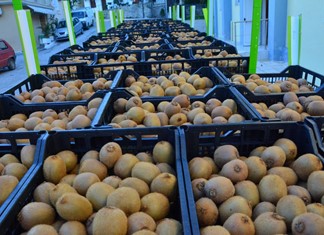 Πιθανές ελλείψεις σε φρούτα και λαχανικά στην Ευρώπη Πιθανές ελλείψεις σε φρούτα και λαχανικά στην Ευρώπη