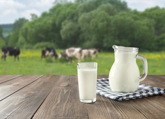 Από τη Θεσσαλία το 18,8% του ελληνικού γάλακτος Από τη Θεσσαλία το 18,8% του ελληνικού γάλακτος