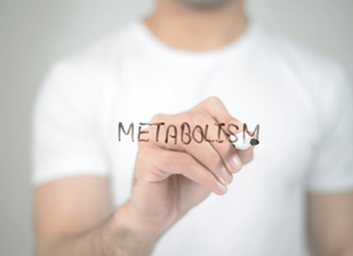 Αργός Μεταβολισμός : Αιτία Παχυσαρκίας … ή Απλή Δικαιολογία ; Αργός Μεταβολισμός : Αιτία Παχυσαρκίας … ή Απλή Δικαιολογία ;