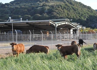 Επιδότηση έως 55% για αγροτικές και κτηνοτροφικές μονάδες Επιδότηση έως 55% για αγροτικές και κτηνοτροφικές μονάδες