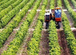 Σειρά αιτημάτων από την Ομοσπονδία Αγροτικών Συλλόγων Μαγνησίας Σειρά αιτημάτων από την Ομοσπονδία Αγροτικών Συλλόγων Μαγνησίας