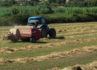 Διαγραφές αγροτικών χρεών προς την ΑΤΕ υπό προϋποθέσεις Διαγραφές αγροτικών χρεών προς την ΑΤΕ υπό προϋποθέσεις