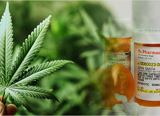 Στη Θεσσαλία η πρώτη άδεια επένδυσης στη φαρμακευτική κάνναβη Στη Θεσσαλία η πρώτη άδεια επένδυσης στη φαρμακευτική κάνναβη