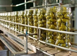 Ελληνοϊταλική επένδυση στην τυποποίηση ελιάς στη Λάρισα