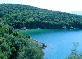 Αλατάς: Η επένδυση των 200 εκ. "κόλλησε” τώρα στην Αποκεντρωμένη Αλατάς: Η επένδυση των 200 εκ. "κόλλησε” τώρα στην Αποκεντρωμένη