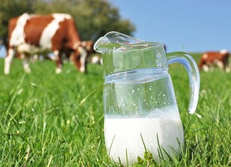 ΣΕΒΓΑΠ: Μη ρεαλιστική η ΚΥΑ για τα γαλακτοκομικά ΣΕΒΓΑΠ: Μη ρεαλιστική η ΚΥΑ για τα γαλακτοκομικά