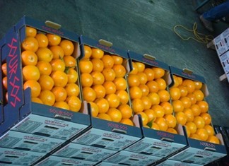 Κλείνει για πρώτη φορά η ψαλίδα στο αγροτικό ισοζύγιο Κλείνει για πρώτη φορά η ψαλίδα στο αγροτικό ισοζύγιο