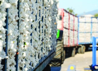 Ταραχή στον θεσσαλικό κάμπο φέρνει η εκκαθάριση στο βαμβάκι Ταραχή στον θεσσαλικό κάμπο φέρνει η εκκαθάριση στο βαμβάκι