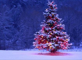 Ευχές πολλές στους αναγνώστες μας Ευχές πολλές στους αναγνώστες μας