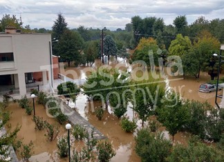 Πολύτιμο βιολογικό υλικό έρευνας χάθηκε στο ΤΕΦΑΑ Πολύτιμο βιολογικό υλικό έρευνας χάθηκε στο ΤΕΦΑΑ