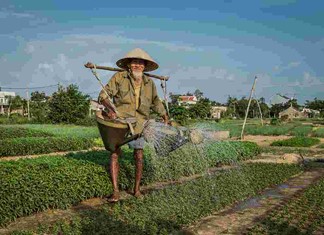 Επιχειρηματική αποστολή στην πρωτεύουσα του Βιετνάμ, εντός του τρέχοντος έτους προγραμματίζει το Επιμελητήριο Λάρισας.