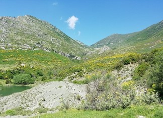 Εξώδικα και μυνήσεις στον ΟΠΕΚΕΠΕ για τα βοσκοτόπια Εξώδικα και μυνήσεις στον ΟΠΕΚΕΠΕ για τα βοσκοτόπια