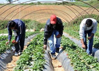 Μετ’ εμποδίων η «εισαγωγή» εργατών από τρίτες χώρες Μετ’ εμποδίων η «εισαγωγή» εργατών από τρίτες χώρες