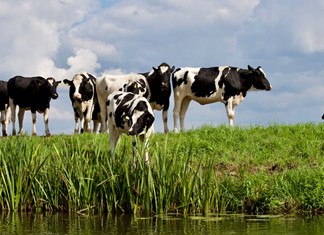 Πού «κόλλησαν» οι επιδοτήσεις