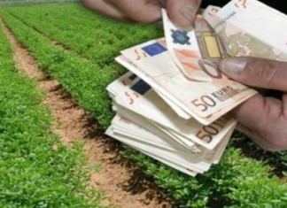 “Αγροτοεμπορικό” Επιμελητήριο Λάρισας “Αγροτοεμπορικό” Επιμελητήριο Λάρισας