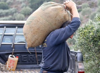 Άλλες 5.350 άδειες παραμονής για ξένους εργάτες γης στη Θεσσαλία